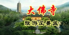 广州骚妇打桩中国浙江-新昌大佛寺旅游风景区